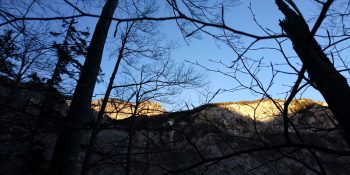 Srečno!