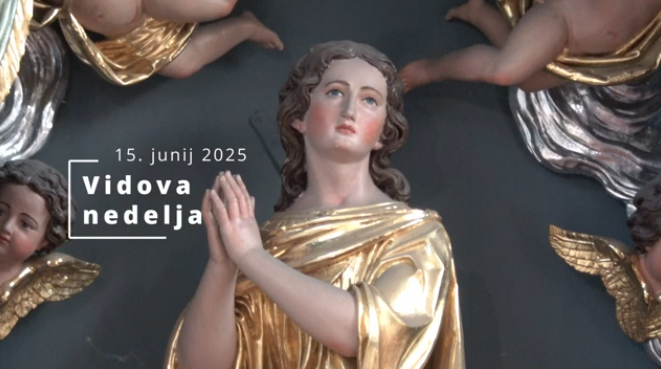 na povezavi je posnetek današnje slovesne svete maše